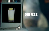 GIN FIZZ DRINK RECIPE – HOW TO MIX