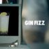 GIN FIZZ DRINK RECIPE – HOW TO MIX