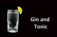 Gin & Tonic Cocktail Drink Recipe