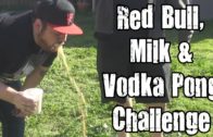Red Bull, Milk & Vodka Pong Challenge *Vomit Alert*